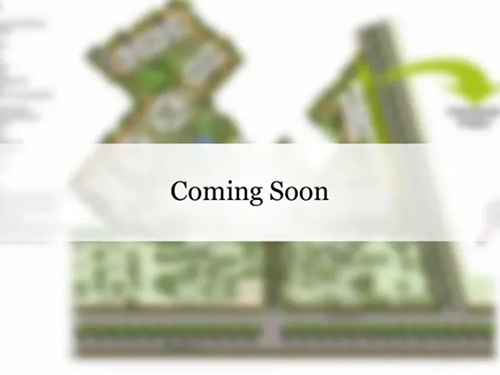 Trehan IRIS Broadway